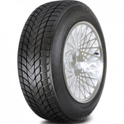 LANDSAIL WINTER LANDER 205/55 R16 91H