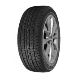 Royal Black ROYAL WINTER 195/65 R15 91H
