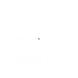 Continental VANCOFOURSEASON 2 205/65 R16C 107T(103H)