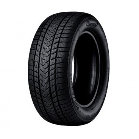 Gripmax SUREGRIP EWINTER 255/60 R20 113V XL