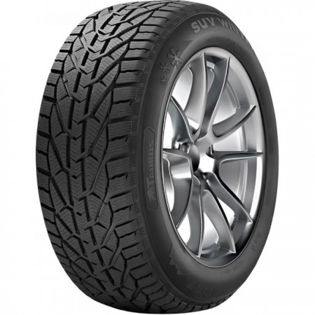 TAURUS WINTER 185/65 R15 88T