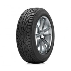 Taurus WINTER 225/45 R17 94V XL FR