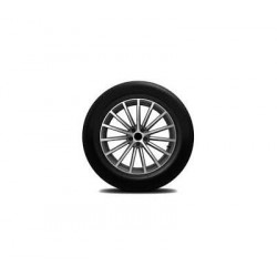 Goodyear EAGLE SPORT 4 SEASONS CARGO 215/75 R16C 113/111R