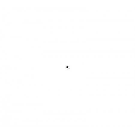 Firestone VANHAWK 2 WINTER 225/65 R16C 112R