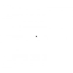 Firestone VANHAWK 2 WINTER 225/70 R15C 112R