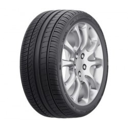 Fortune FSR701 255/30 R19 91Y XL